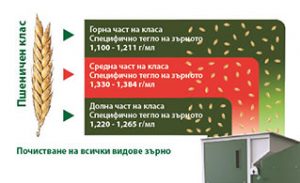 Технология за получаване на висок добив на зърно